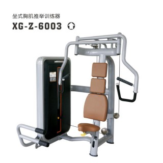 xg-z-6003-2